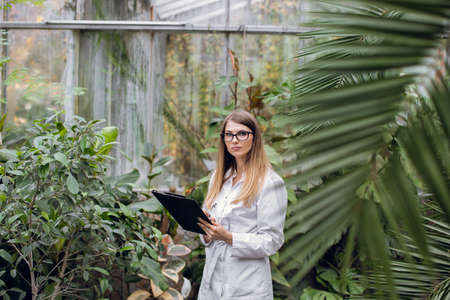 Young high-skilled woman agronomist wearing white lab coat, walking with folder beside palm trees in beautiful greenhouse, making notes and supervising plants condition.の写真素材