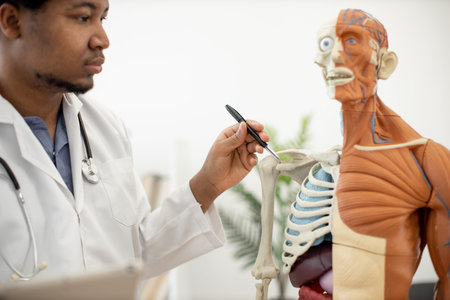 Close up view of multiethnic male with stethoscope marking joint of humerus on anatomy teaching...