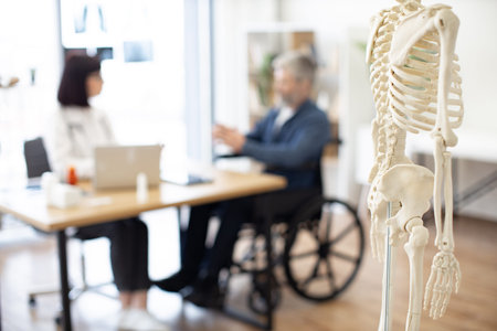 Focus on skeleton model on stand being placed in doctors office while young physician providing check-up of patient. Orthopedist diagnosing medical condition of male wheelchair user in hospital.の写真素材