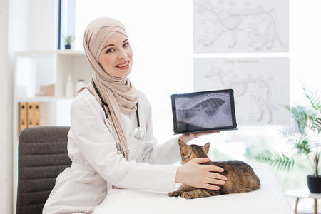 Arabian animal doctor showing cats x-ray on digital tabletの写真素材