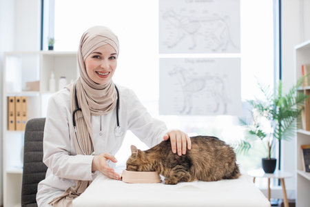 Arabian vet awarding pet with food on exam couch in hospitalの写真素材