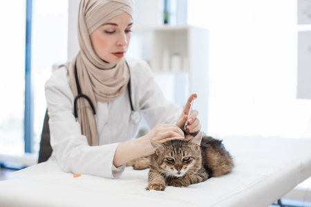 Veterinary specialist giving vaccine to animal in hospitalの写真素材