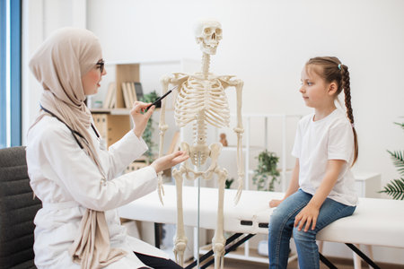 Physician showing ribs on anatomical model to preteen girlの写真素材