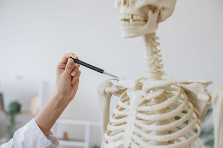 Doctor hand showing location of disease on model skeleton