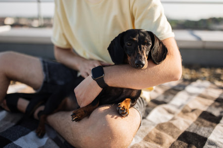 Bearded man sitting on roof and holding dachshund in handsの写真素材