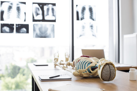 3D model of human skeleton with organsの写真素材