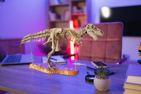 Nature education concept - assortment of supplies, skeleton of dinosaur.の写真素材