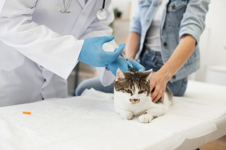 Veterinarian wearing medical gloves administering vaccine to cat supported by woman. Animal healthcare and medical care emphasizing pet welfare.の写真素材