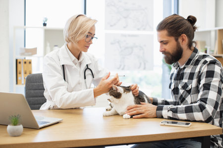 Female veterinarian wearing coat administering vaccine to cat held by male owner. Image represents pet healthcare, owner-veterinarian relationship, and vaccination procedure in clinical setting.の写真素材