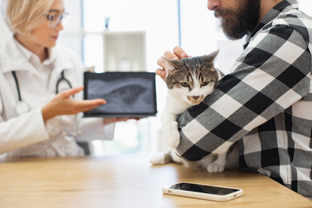 Veterinarian presenting X-ray image of cat to bearded male in veterinary clinic. Tabby cat appears calm, man wears plaid, woman doctor in white coat holding X-ray modern veterinary medical environmentの写真素材