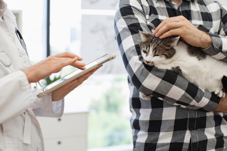 Veterinarian using tablet to explain medical history or prescription to man holding cat. Image shows assistance, animal care, and interaction with advanced technologyの写真素材