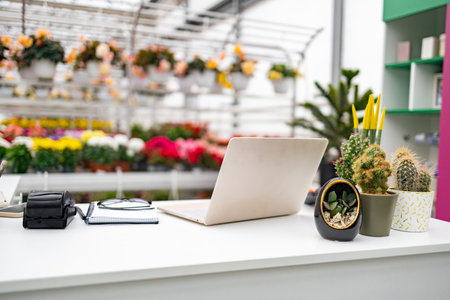 A modern florist shop interior, with a clean white table, featuring a laptop, and diverse potted cacti.の写真素材