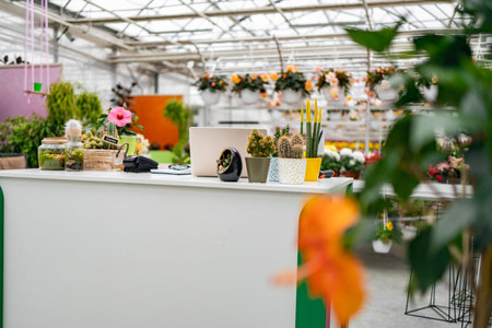 A bright interior of a florist shop features a counter with potted plants, cacti, and a laptop ready for business.の写真素材