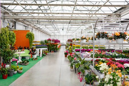 A vibrant florist shop filled with a diverse selection of colorful flowers and lush greenery, displayed for sale.の写真素材