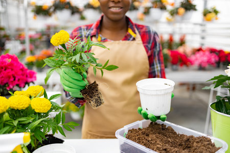 A florist is seen replanting flowers in a shop. The florist is wearing gloves.の写真素材
