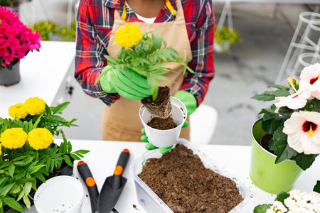 A florist replanting flowers in a shop, tending to garden plants, surrounded by gardening tools.の写真素材