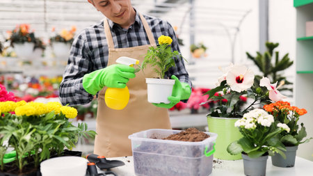 A gardener waters a potted plant in a greenhouse, surrounded by colorful flowers and gardening tools.の写真素材