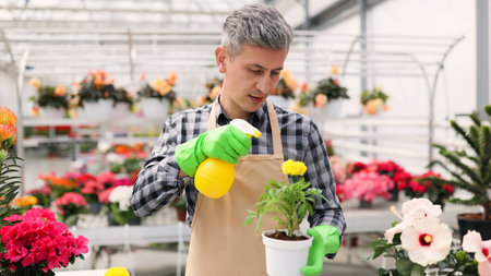 A man in an apron sprays a potted plant with a yellow spray bottle in a greenhouse surrounded by flowers.の写真素材