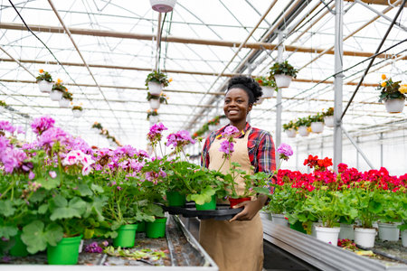 An African American woman smiles, carrying pots of flowers in a greenhouse filled with plants.の写真素材