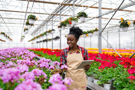 An African-American woman tends to flowers in a greenhouse, using a tablet to monitor growth and development.の写真素材