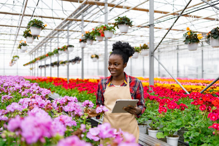 An African-American woman, smiling, holding a tablet while inspecting colorful flowers in a greenhouse.の写真素材