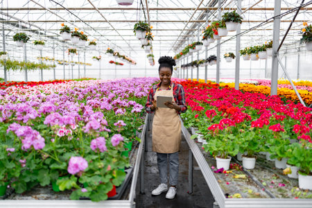 A smiling African woman tending to flowers in a greenhouse, using a tablet to monitor her plants.の写真素材