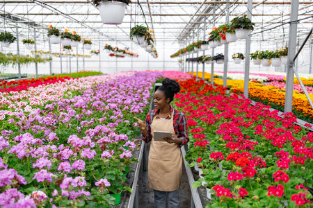 An African-American woman examines rows of colorful flowers in a vibrant greenhouse, pointing at some of them.の写真素材
