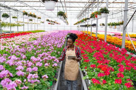 An African American woman surveys rows of colorful flowers in a greenhouse, holding a tablet and smiling.の写真素材