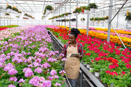 An African woman in a greenhouse examines blooming flowers, using a tablet for assessment and tracking.の写真素材