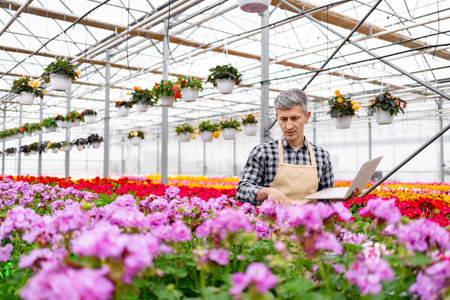 A gardener in a greenhouse surrounded by vibrant flowers uses a laptop to manage the plants.の写真素材
