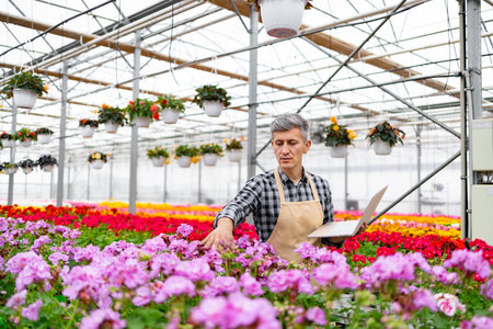A male gardener checks plants in a greenhouse while holding a laptop to monitor the growth of flowers.の写真素材