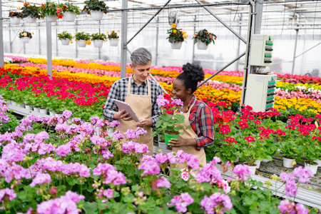 Two diverse greenhouse workers discussing a potted plant, surrounded by vibrant flowers of various colors.の写真素材