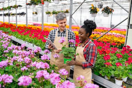 Two people examine a potted plant in a vibrant greenhouse, surrounded by colorful flowers.の写真素材