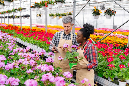 Two botanists in a greenhouse examining a flowering plant together, using a tablet for reference.の写真素材