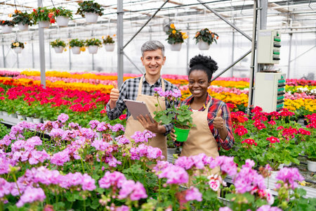 Two smiling people in a greenhouse with flowers, giving thumbs up. One holds a tablet, the other a plant.の写真素材