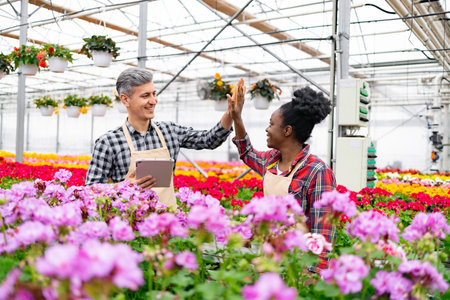 Two diverse greenhouse workers celebrate with a high-five gesture amidst vibrant blooming flowers.の写真素材