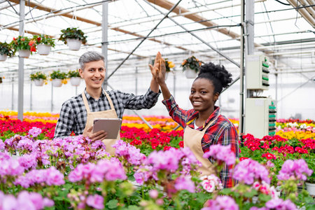 Two diverse greenhouse workers celebrate a successful day with a high-five amidst blooming flowers.の写真素材