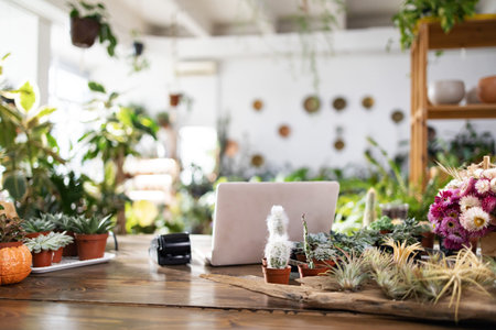 This image captures the inviting atmosphere of a plant shop, showcasing a laptop amidst various...