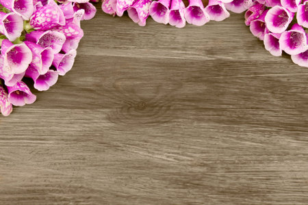 Wooden background with beautiful purple flowers Foxgloveの写真素材