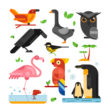 birdsのイラスト素材