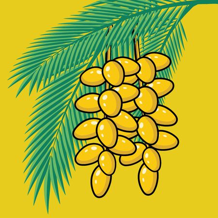 Fresh Dates on palm tree. Summer tropical fruitsのイラスト素材