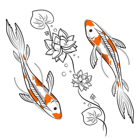 Koi carps fish with lotus vector illustration. Japanese oriental style colorful carps swimming.のイラスト素材
