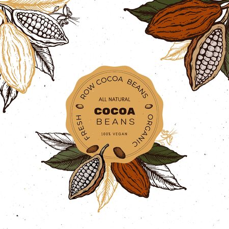 Cocoa beans Hand drawn vintage sketch illustration labelのイラスト素材