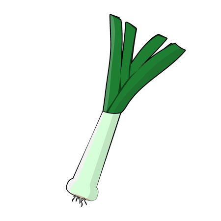 Leek icon. Flat illustration of leek vector isolated on white backgroundのイラスト素材