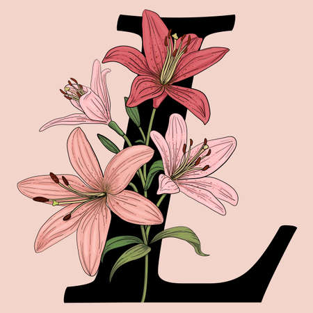 Letter L vector  monogram with pink lily flowers.のイラスト素材