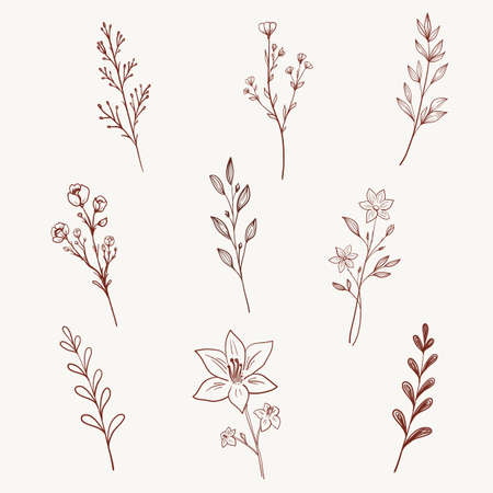 Minimalist wild flowers, herbs, leaves and branches. Hand drawn line art herbs set highlight icon. Botanic elements for logo design, eco style, organic shop. Vector illustration.のイラスト素材