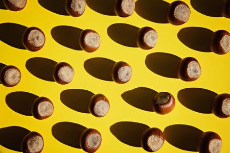 Unpeeled hazelnuts with contrast of light and shadows on a yellow background. Flatley. Copy space.の写真素材