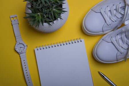 White sneakers, the watches, a pot with succulent and a notebook with a pen on the yellowの写真素材