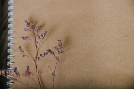 Sprig with dry blue flowers on a notebook with craft paper. Autumn vibes.の写真素材