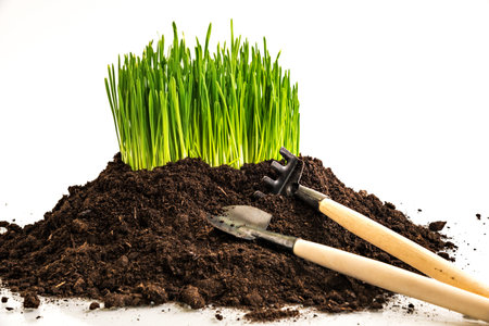 A pile of soil and grass, next to a garden tool, a rake and a shovel. Home gardening. White backgroundの写真素材